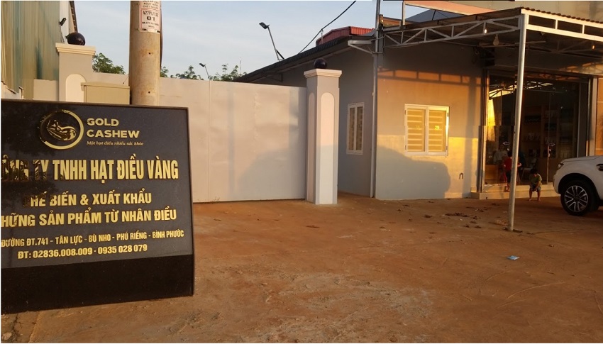 công ty tnhh hạt điều vàng