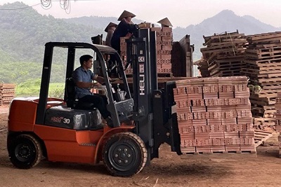 xe nâng gạch tuynel