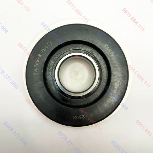 Vòng Bi Y30208-N