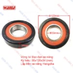 Bi Càng Xe Nâng Hangcha 80511K2-G00